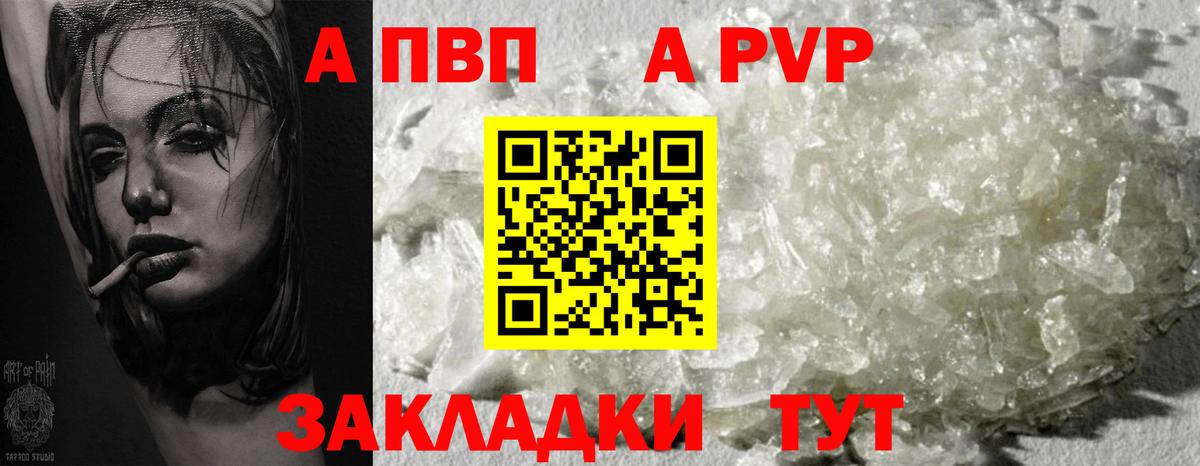 A PVP СК Арзамас